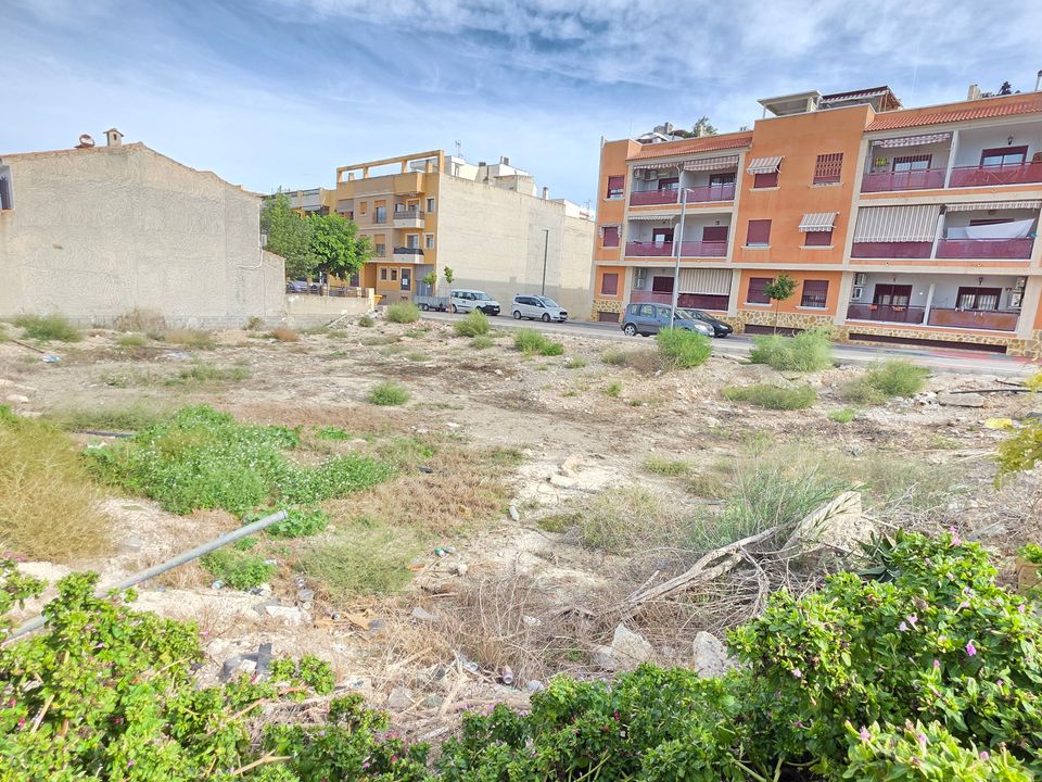 Helårsgrund i Dolores, Alicante - foto 3
