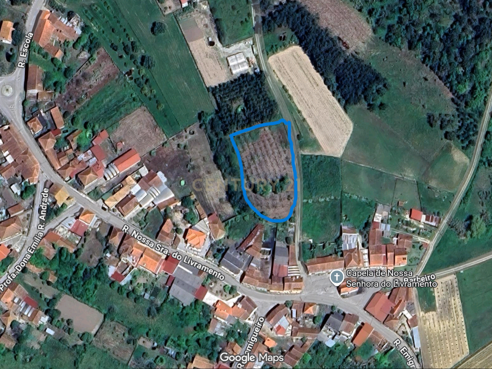 Helårsgrund i Anadia, Aveiro - foto 1