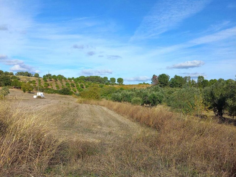 Helårsgrund i Madalena e Beselga, Santarem - foto 2