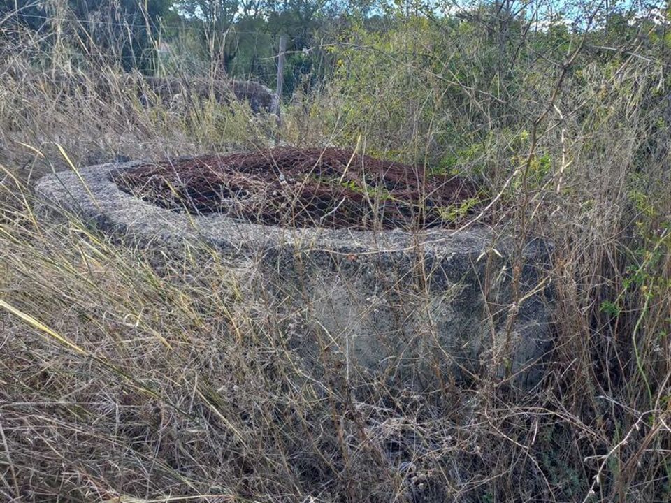 Helårsgrund i Madalena e Beselga, Santarem - foto 5
