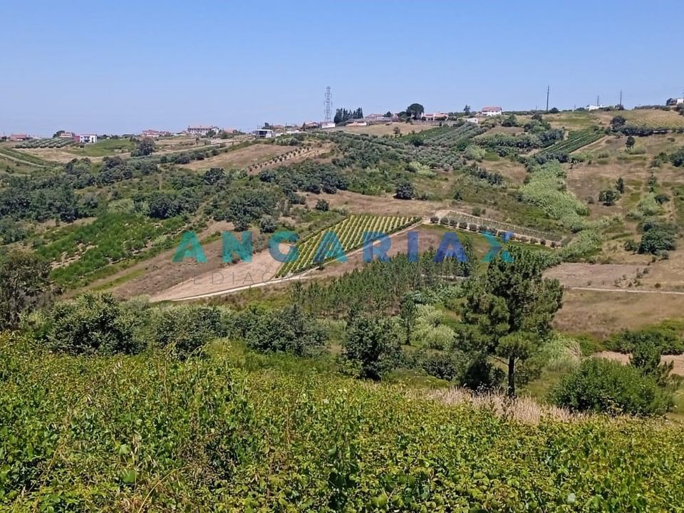Helårsgrund i Batalha, Leiria - foto 3