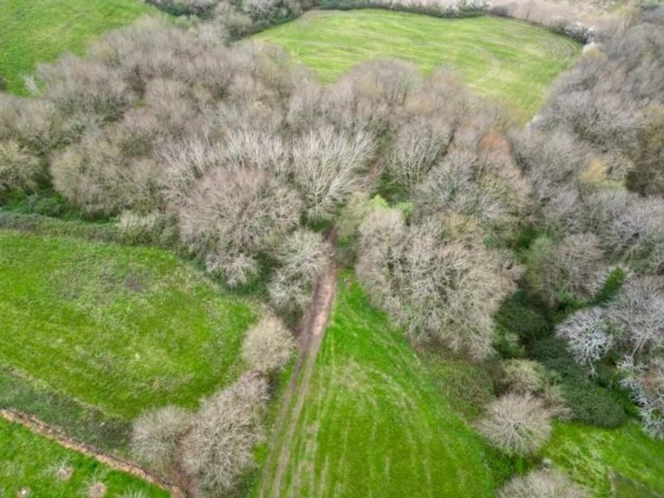 Helårsgrund i Brassempouy, Landes - foto 2
