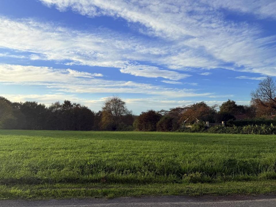 Helårsgrund i Brassempouy, Landes - foto 4