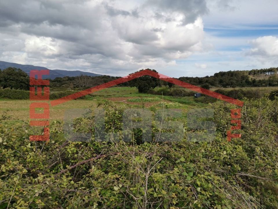 Helårsgrund i Vila Flor, Braganca - foto 3