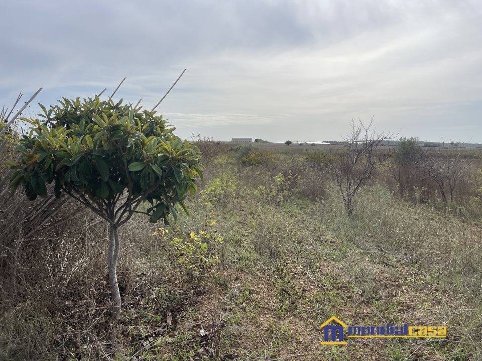 Helårsgrund i Noto, Siracusa - foto 1