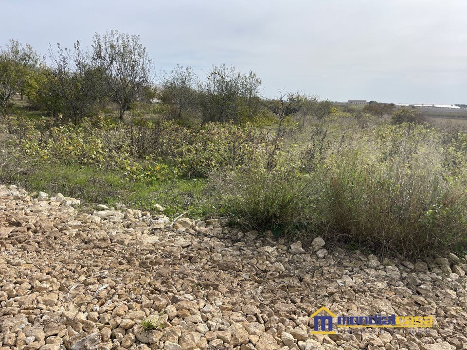 Helårsgrund i Noto, Siracusa - foto 2