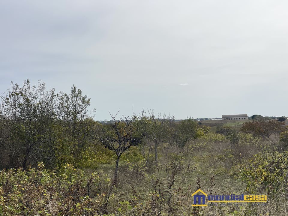 Helårsgrund i Noto, Siracusa - foto 3