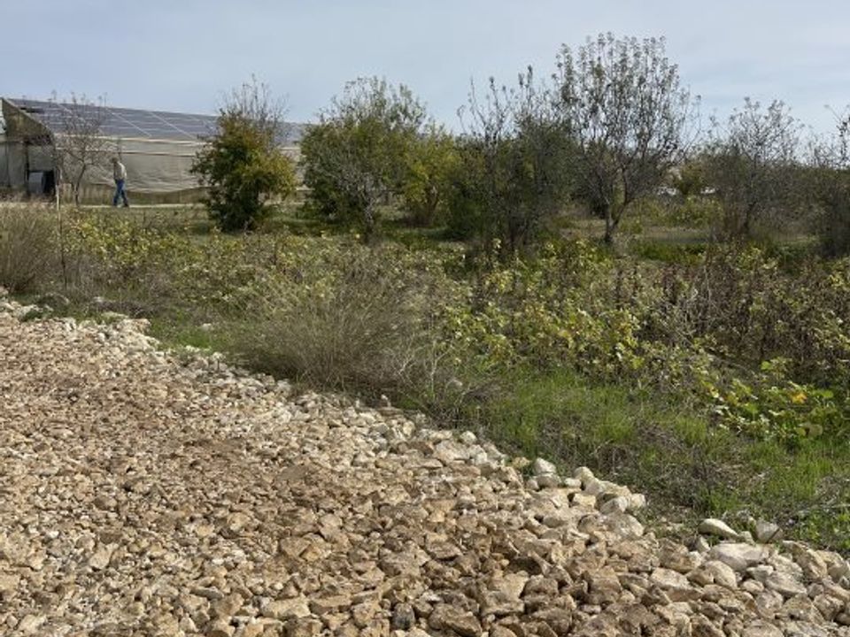 Helårsgrund i Noto, Siracusa - foto 5