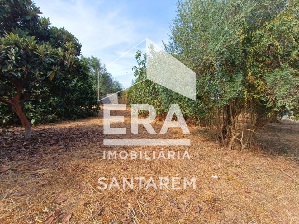 Helårsgrund i Alcanhoes, Santarem - foto 2