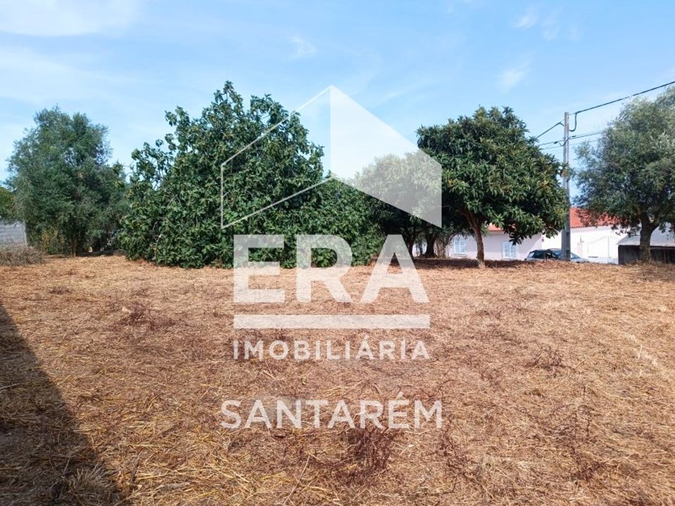 Helårsgrund i Alcanhoes, Santarem - foto 3