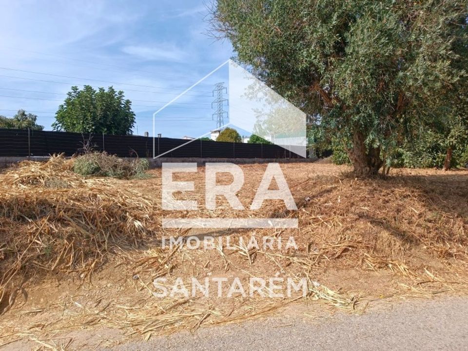 Helårsgrund i Alcanhoes, Santarem - foto 5