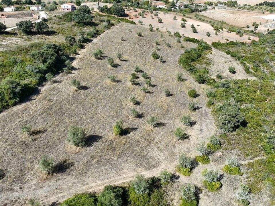 Terra a Santarem, Santarem - foto 1