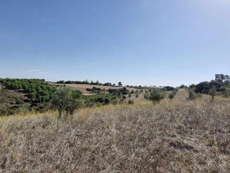 Terra a Santarem, Santarem - foto 2