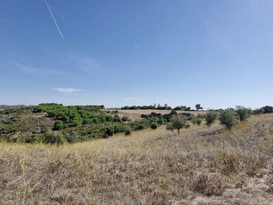 Terra a Santarem, Santarem - foto 3