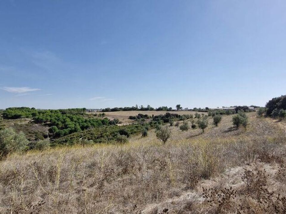 Terra a Santarem, Santarem - foto 4