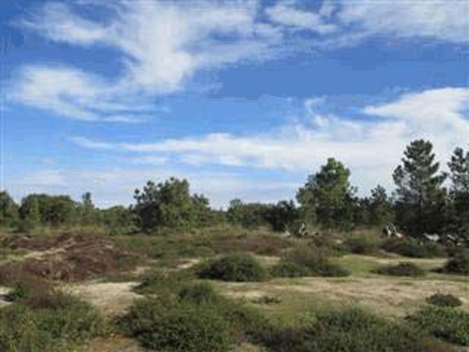 Helårsgrund i Moita, Setubal - foto 3