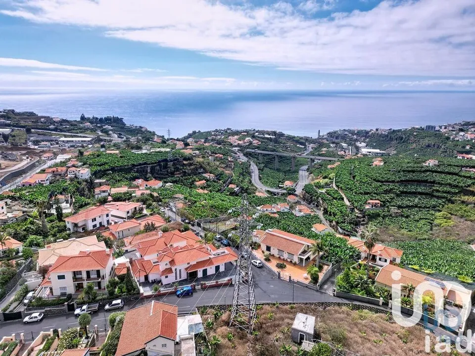 Helårsgrund i Funchal, Madeira - foto 5