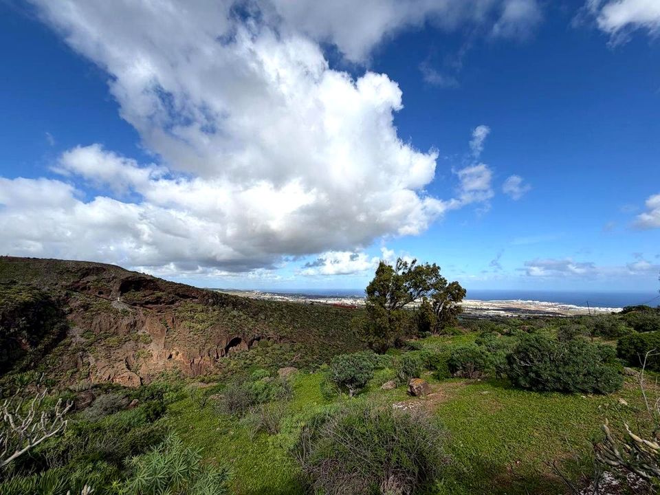 Landejendom i Telde, Gran Canaria - foto 3