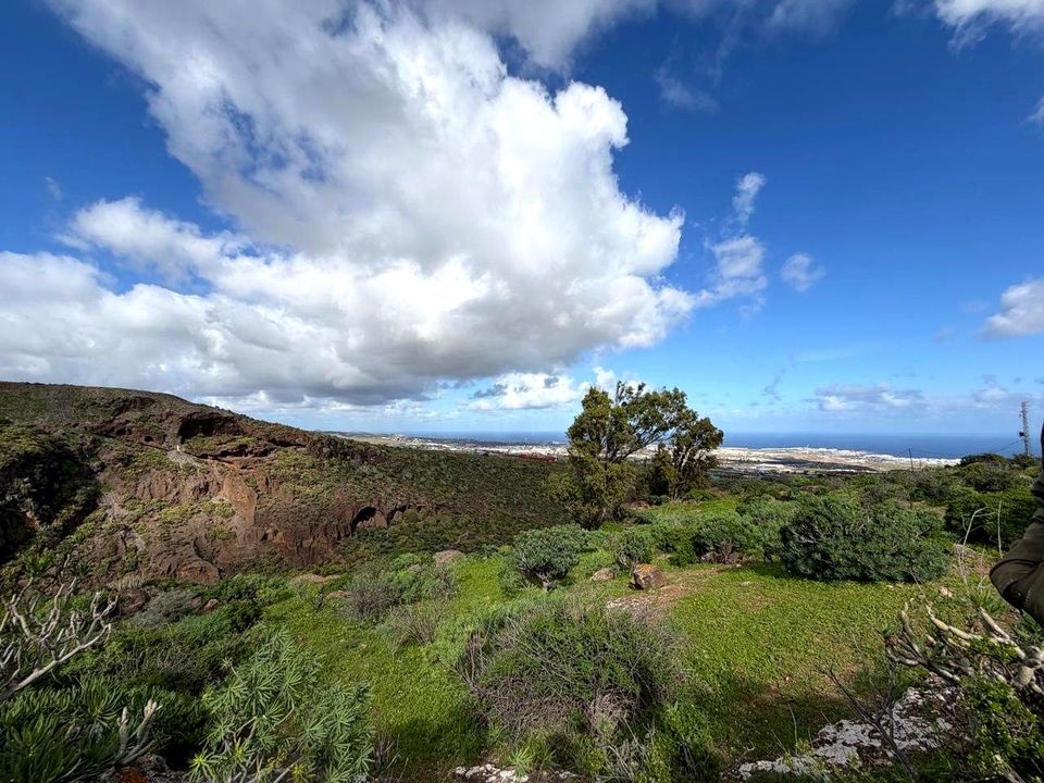 Landejendom i Telde, Gran Canaria - foto 4