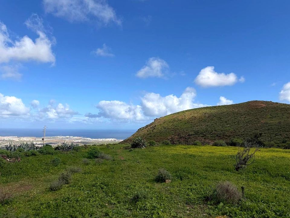 Landejendom i Telde, Gran Canaria - foto 5