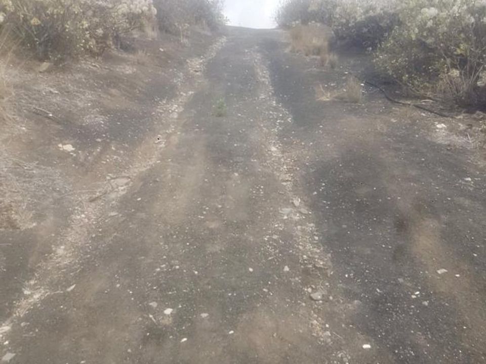 Landejendom i El Sabinal, Gran Canaria - foto 3