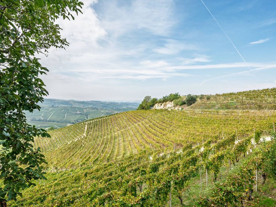 Villa i Castiglione Tinella, Cuneo - foto 5