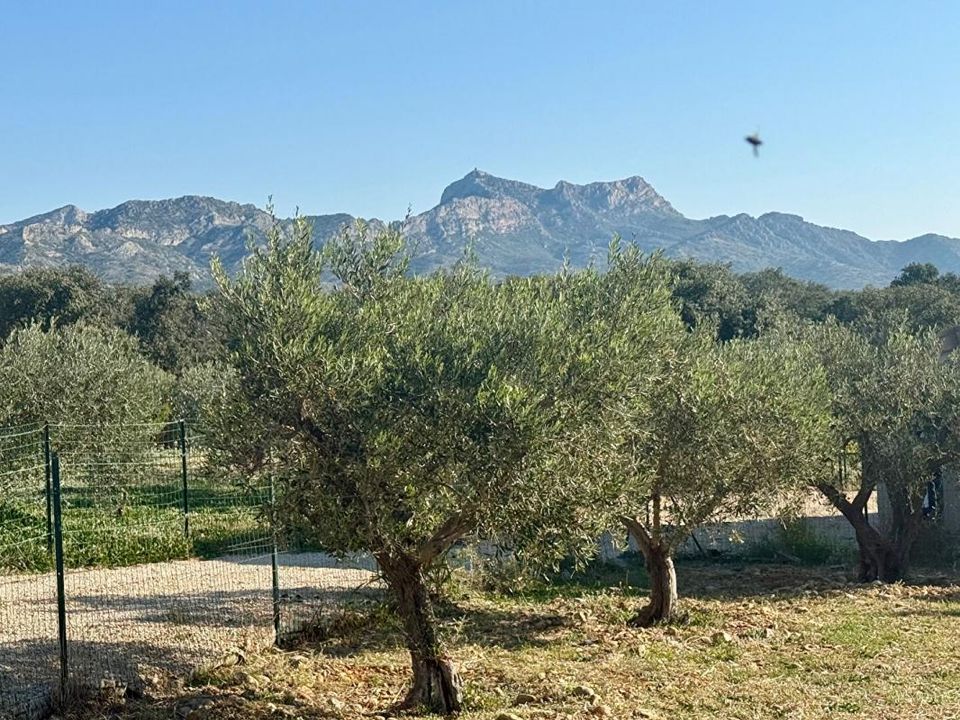 Tomt i Aureille, Bouches-du-Rhone - bilde 1