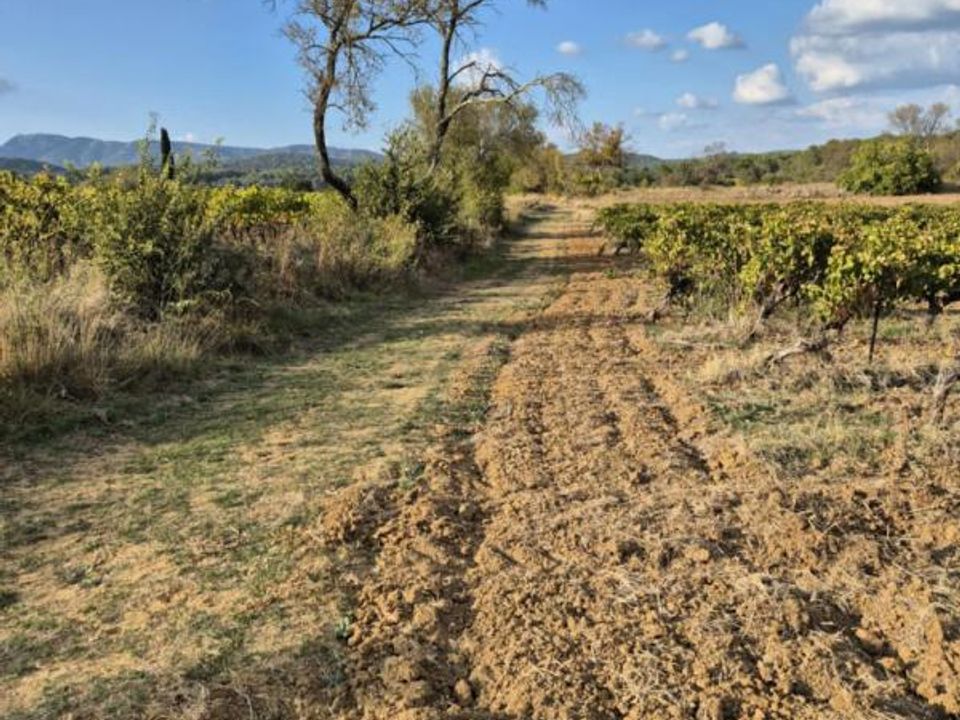 Działka: Montfort-sur-Argens, Var – zdjęcie 4
