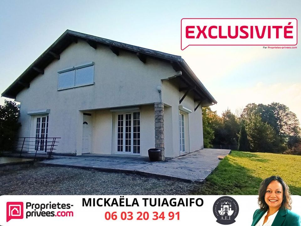 Villa i Villenauxe-la-Grande, Aube - foto 1