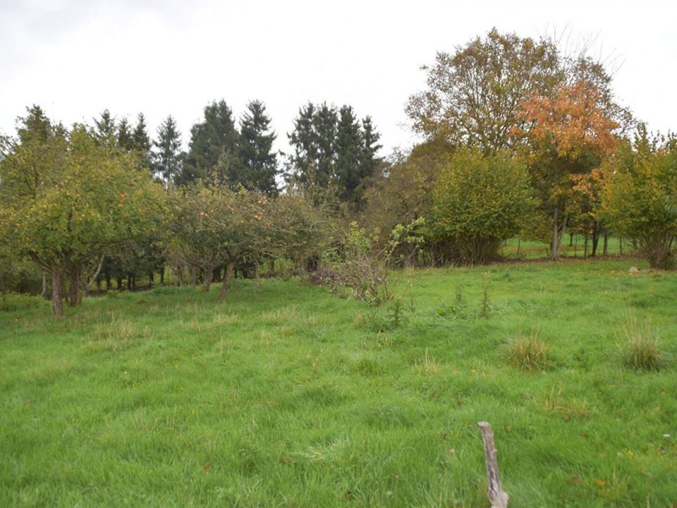 Helårsgrund i Cheppy, Meuse - foto 2