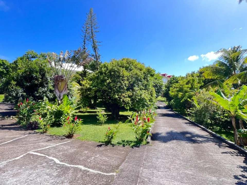Villa i Gourbeyre, Guadeloupe - foto 2