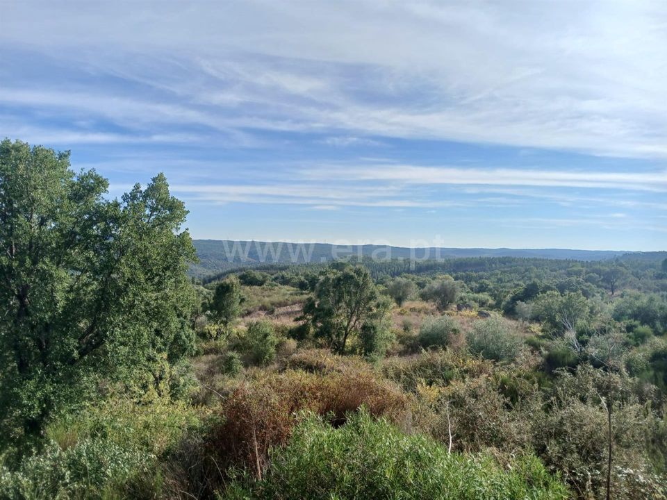 Helårsgrund i Macao, Santarem - foto 1