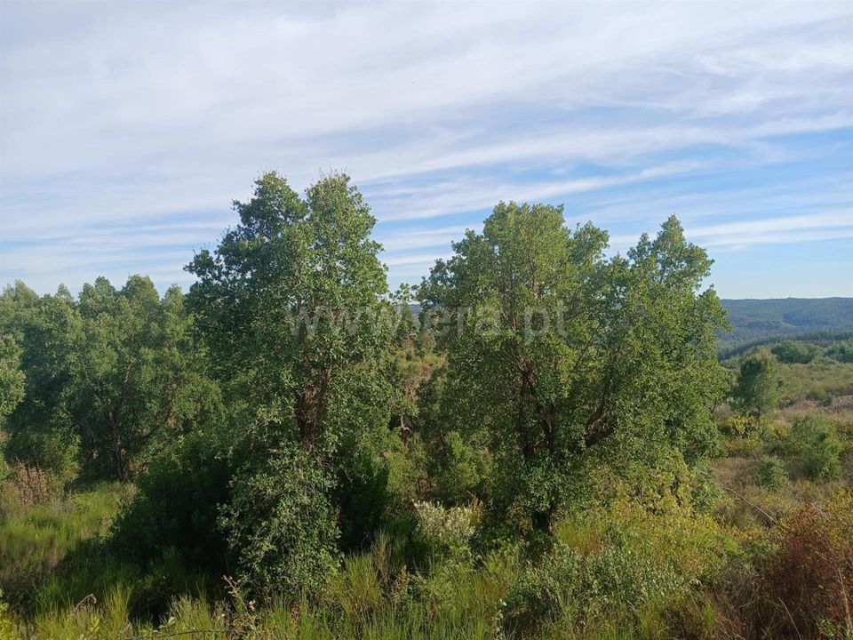 Helårsgrund i Macao, Santarem - foto 2