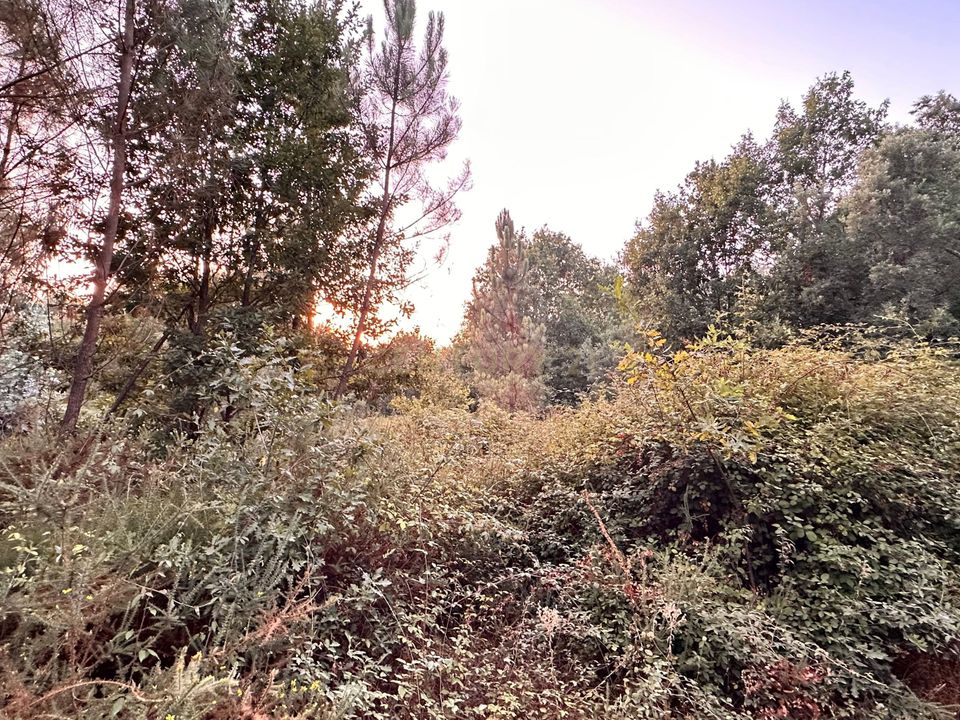 Villa en Pedrogao Grande, Leiria - foto 5
