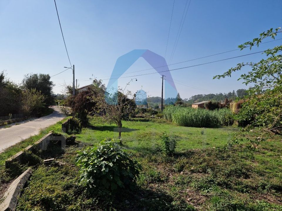 Helårsgrund i Pombal, Leiria - foto 4