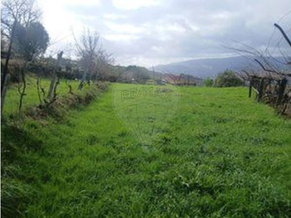 Grond in Portela e Extremo, Viana do Castelo - foto 5