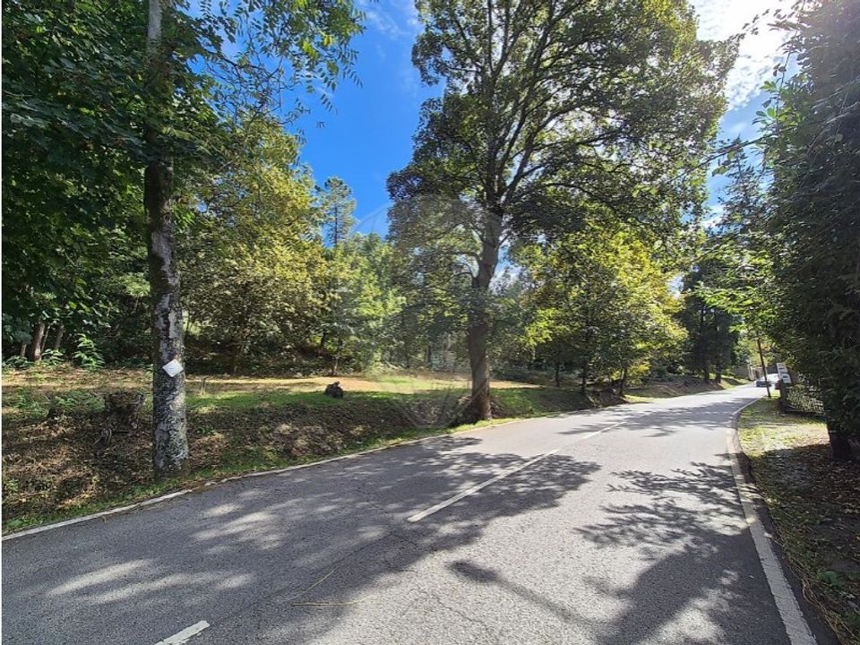 Helårsgrund i Guimaraes, Braga - foto 5