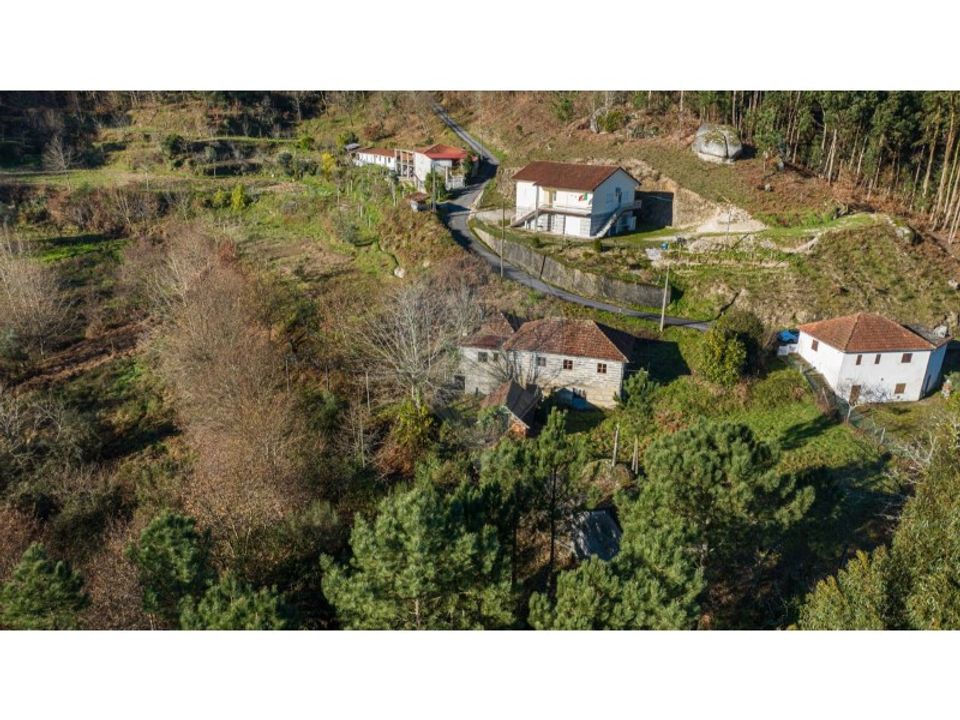 Farm i Cacarilhe e Infesta, Braga - foto 1