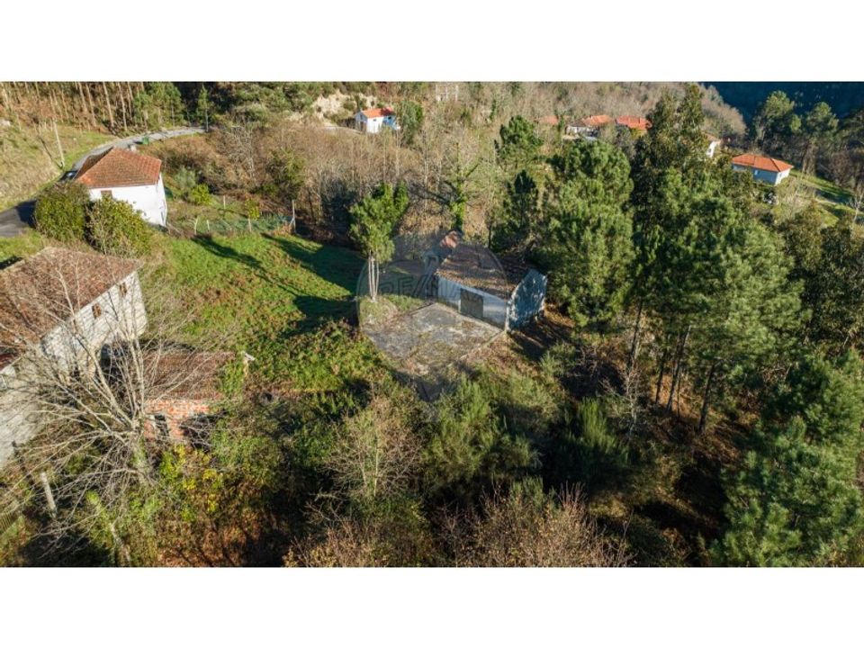 Farm i Cacarilhe e Infesta, Braga - foto 3