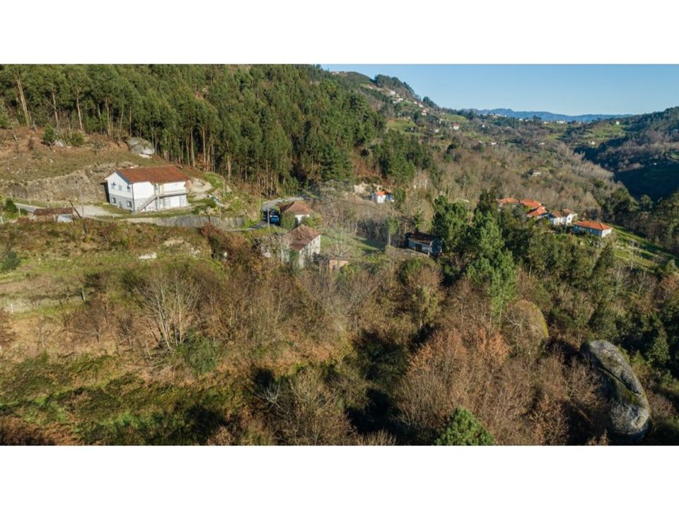 Farm i Cacarilhe e Infesta, Braga - foto 5