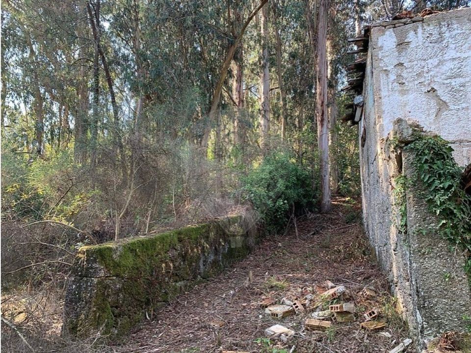 Villa i Oriz (Santa Marinha), Braga - foto 4