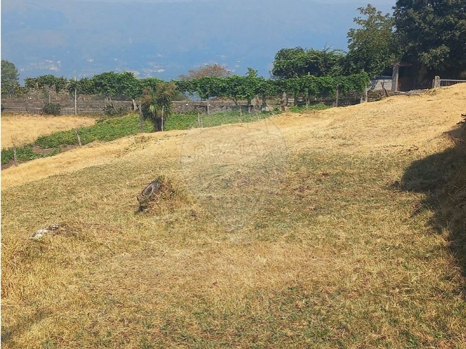 Land in Chamoim e Vilar, Braga - photo 1