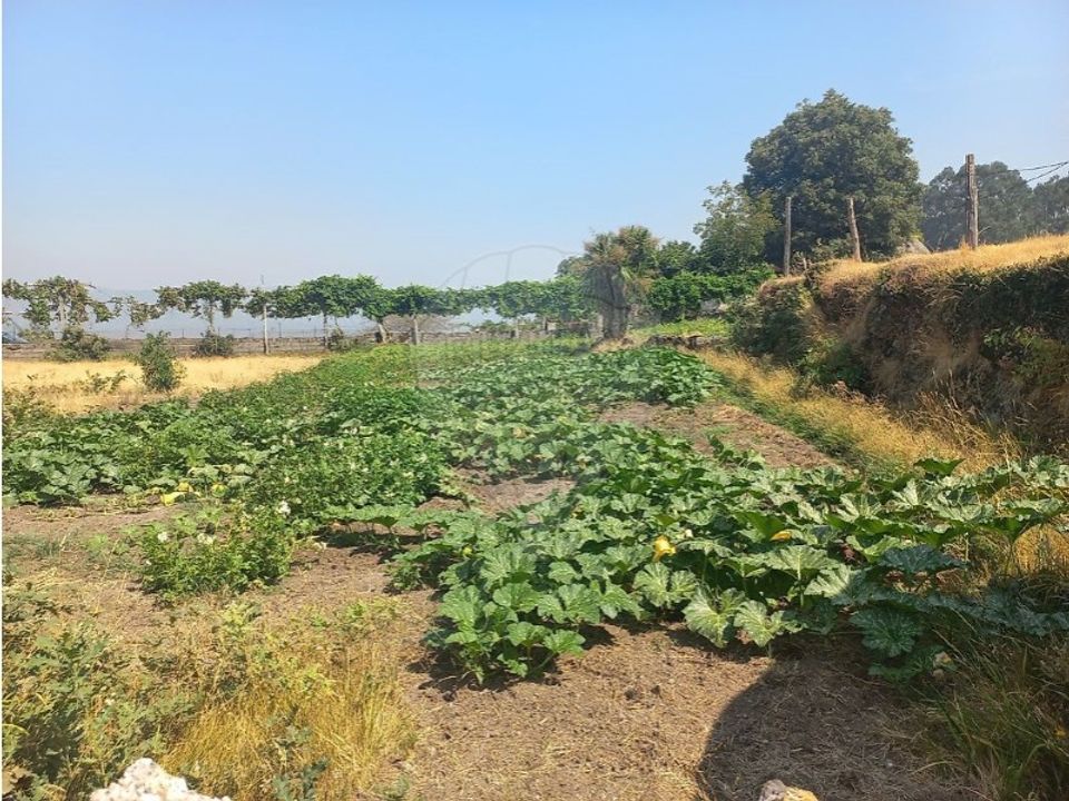 Land in Chamoim e Vilar, Braga - photo 2