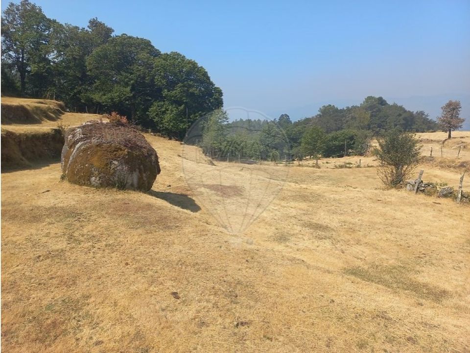 Land in Chamoim e Vilar, Braga - photo 4