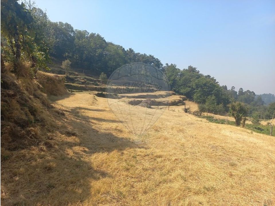 Land in Chamoim e Vilar, Braga - photo 5