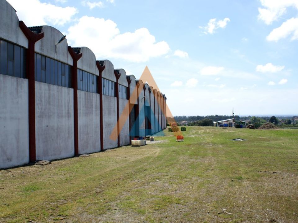 Erhvervsejendom i Sao Miguel de Souto, Aveiro - foto 2