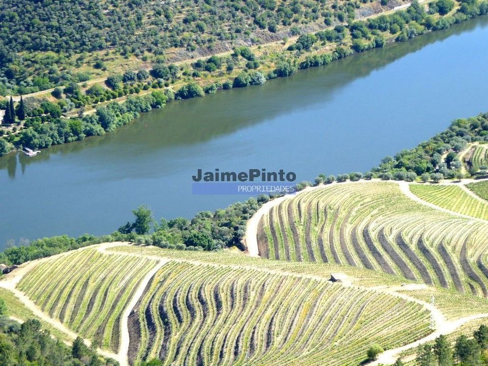 Farm i Vila Nova de Foz Coa, Guarda - foto 2