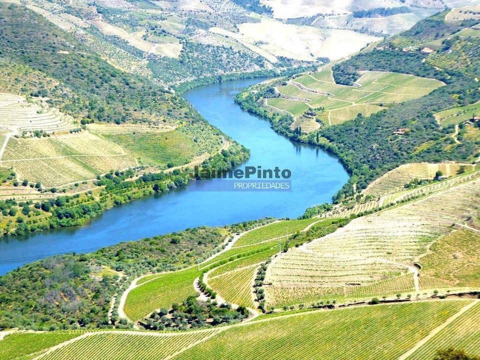 Farm i Vila Nova de Foz Coa, Guarda - foto 5
