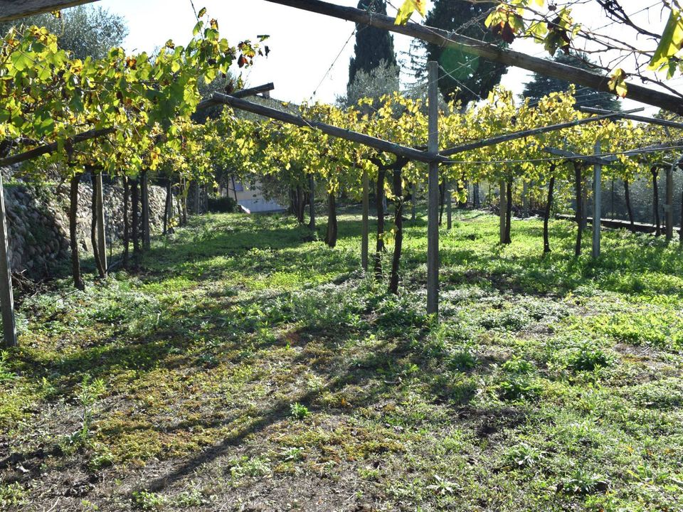 Tomt i Sant'Ambrogio di Valpolicella, Verona - bilde 5