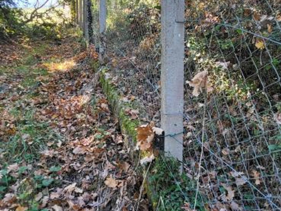 Tomt i Lescure-d'Albigeois, Tarn - bilde 5